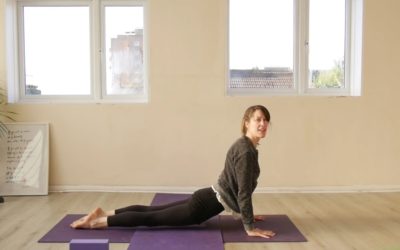 YOGA: Strong Flow: Graceful Grasshopper (60mins)