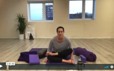 YOGA: Yin: Hip Health (60mins)