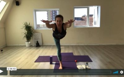 YOGA: Strong Flow: Shin Stress Reliever (60mins)