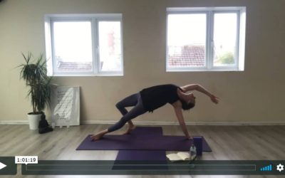 YOGA: Strong Flow: Go Wild (60mins)