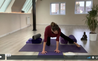 YOGA: Yin: Shoulders & Neck (60mins)