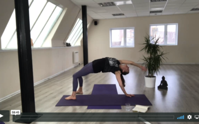 YOGA: Strong Flow: Flippy Dippy (60mins)