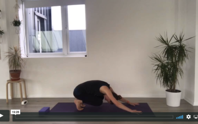 YOGA: Strong Flow: Power Ball (20mins)