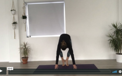 YOGA: Strong Flow: Froggy Feet (22mins)