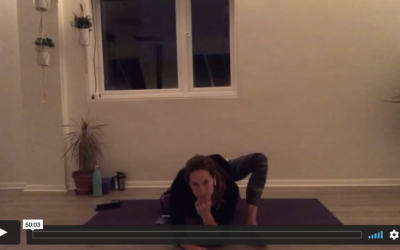 YOGA: Yin: Dragon (50mins)