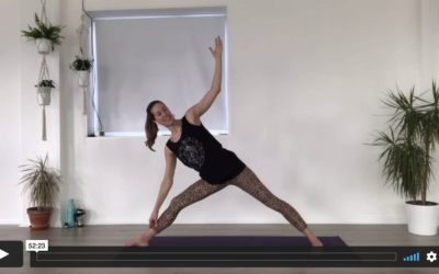 YOGA: Strong Flow: Pause and Find Perspective (50mins)