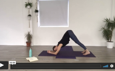 YOGA: Strong Flow: Forearm Freedom (50mins)