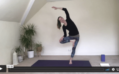 YOGA: Strong Flow: Carry Angle (50mins)