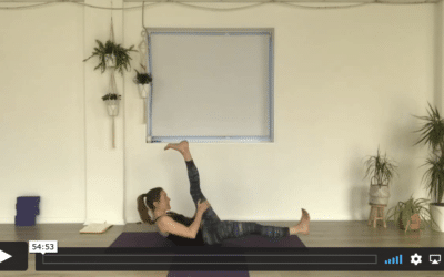 YOGA: Strong Flow: Strawberry Split (50mins)