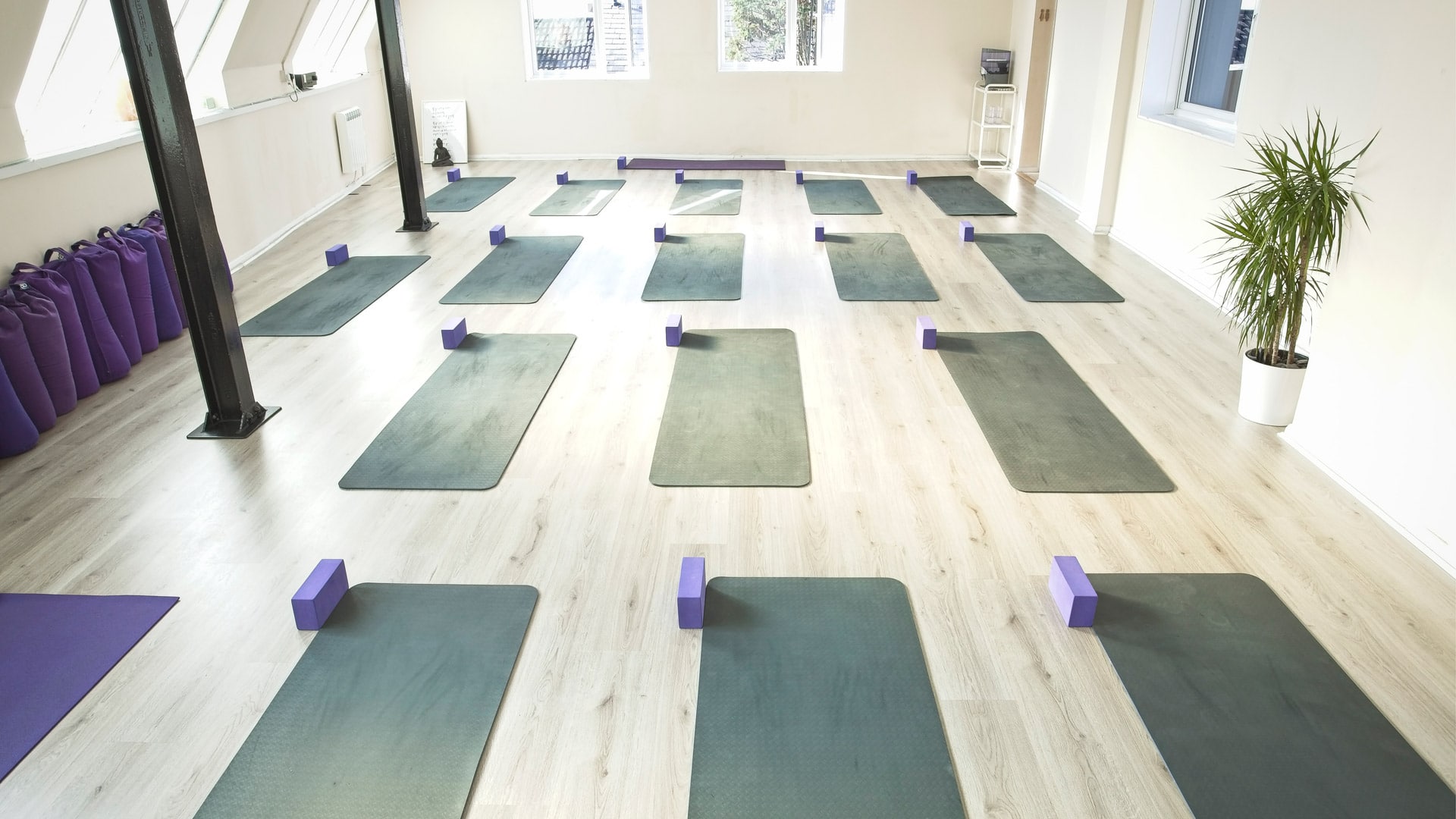 empty yoga studio in brighton with green mats