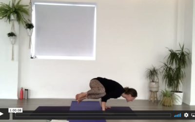 YOGA: Strong Flow: Side Return (60mins)