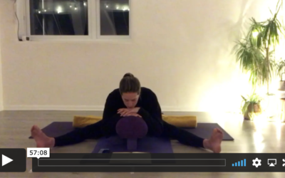 YOGA: Yin: Digestive Help (60mins)