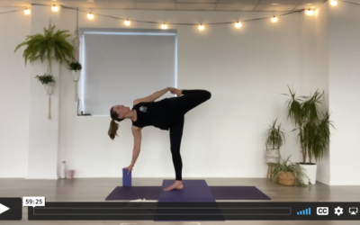 YOGA: Strong Flow: Zoom Out (60 mins)