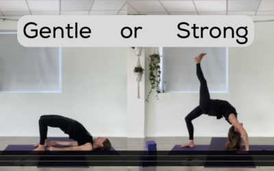 YOGA: Gentle OR Strong Flow: You Choose (45mins)