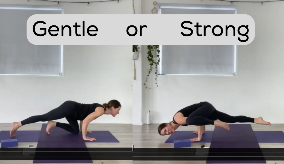 YOGA: Gentle OR Strong Flow: Tricep Fun (45mins)