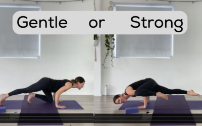 YOGA: Gentle OR Strong Flow: Tricep Fun (45mins)
