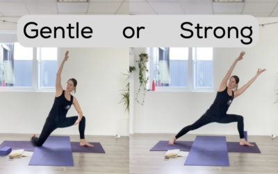 YOGA: Gentle or Strong: Sidewinder (45mins)