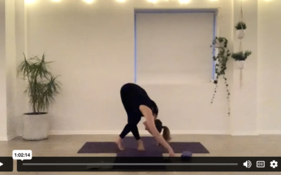 YOGA: Strong Flow: Maximus (60mins)