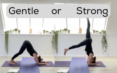 YOGA: Gentle or Strong: Feather Your Nest (45mins)